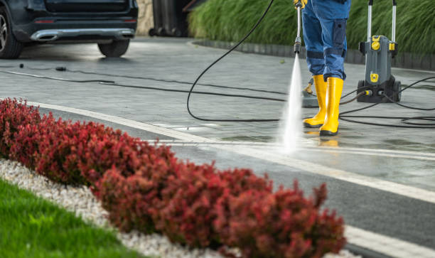 Best Patio and Deck Pressure Washing  in Chatfield, MN
