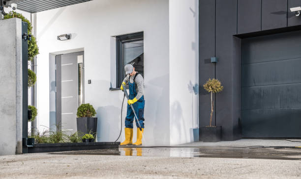 Best Fleet Vehicle Washing  in Chatfield, MN